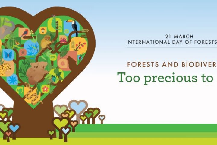 March 21 - International Forest Day celebrated worldwide
